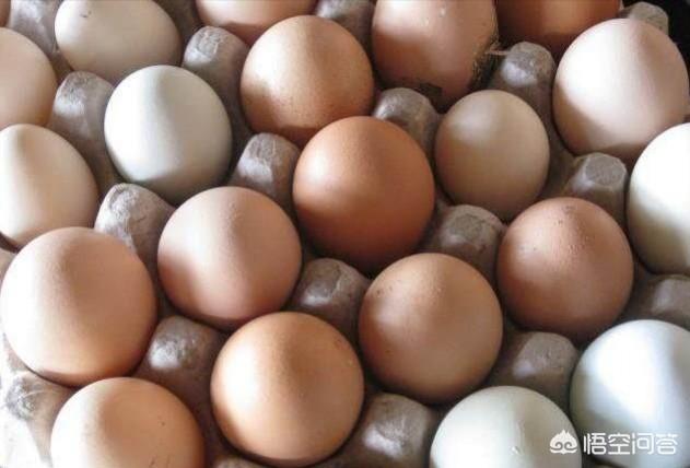 鸡蛋怎么保鲜，最家常的营养品鸡蛋，在家里该如何长时间保存呢，正确方法是怎样