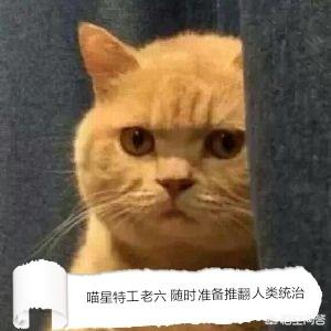 315晚会,对卫龙辣条来说是挣了,还是亏了？