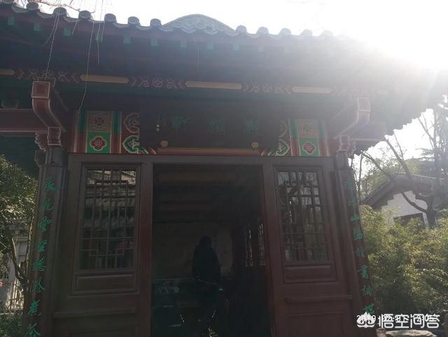 鬃狮蜥饲养爬天论坛:猪八戒能算得上《西游记》最强猪妖吗？