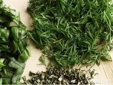 农村这么多的野菜,你最喜爱吃哪几种？如果有可能,你会亲手去挖野菜吗？