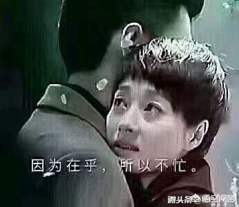 朴树被曝离婚:高晓松跟汪峰为什么互撕他们之间有什么矛盾