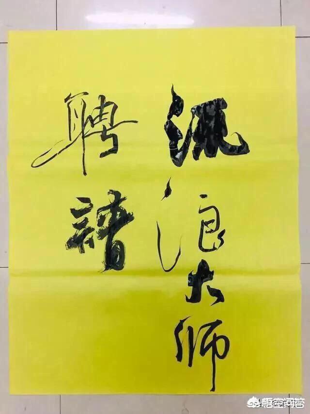 中央电视台12套狗王偷狗:“偷狗送命”，谁之过呢？