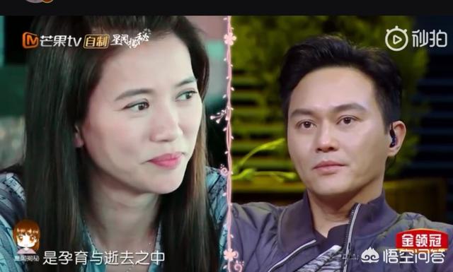 张智霖与袁咏仪:张智霖和袁咏仪这对高糖夫妻幸福的秘诀是什么