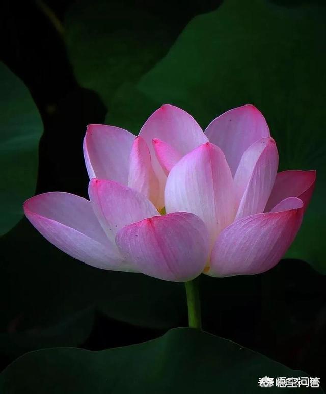 档案和身份证年龄不符,派出所出证明能更正吗？