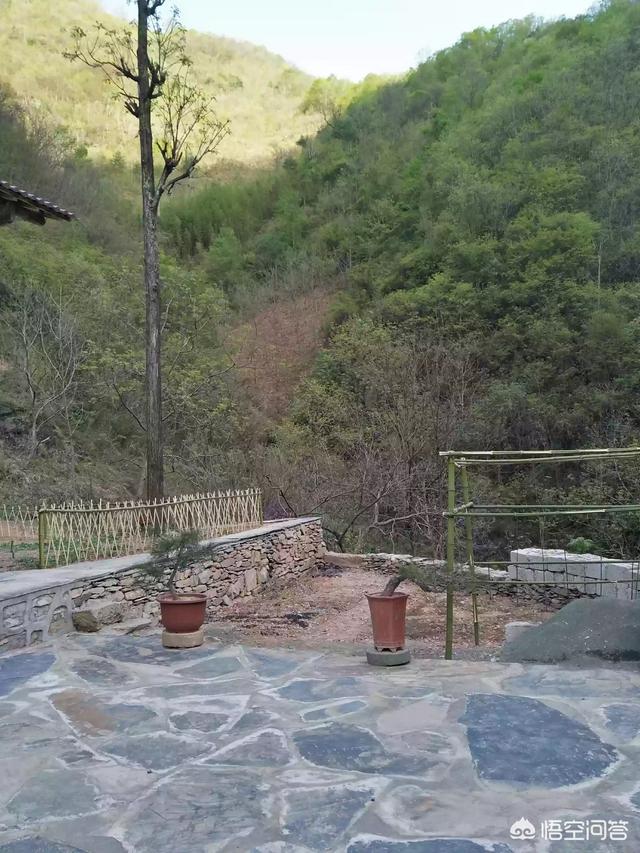 怎么做院子围墙又便宜又好看？插图14