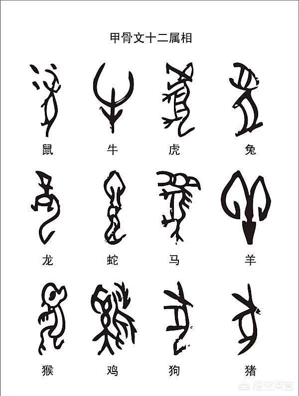 甲骨文是怎么识别的,不会被解读错误吗？