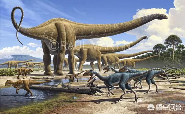 中国发现活恐龙，发现最早的恐龙是什么恐龙
