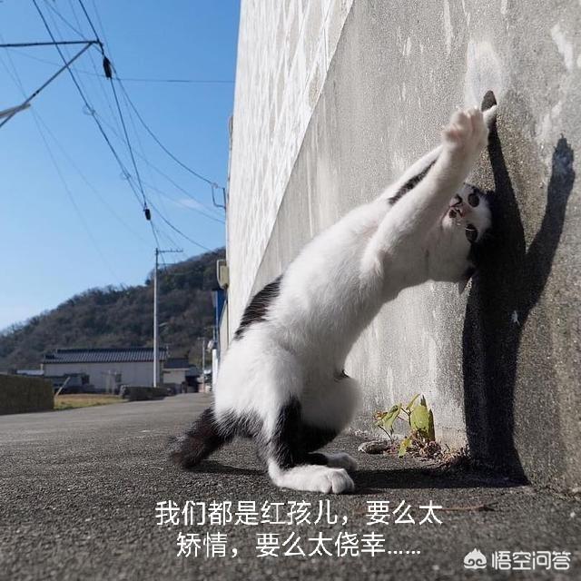 《西游记》原著中,红孩儿难道不怕观音菩萨吗？为什么把观音菩萨叫脓包菩萨？