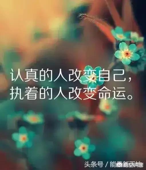 世界上有悲天悯人与愤世嫉俗共存的人么？