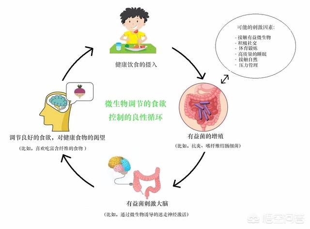 食源性肠道疾病:有些食物会引发肠道病变，到底是哪些呢？