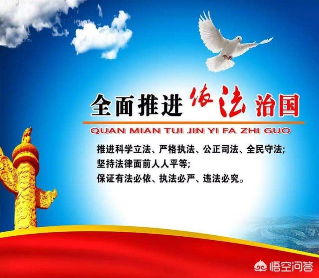 救狗:爱狗人士堵路救狗，来自疫区的狗被无害化处理，你怎么看？