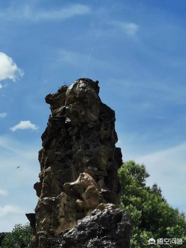 杜江背景:你家孩子在家是怎样阅读的