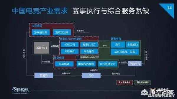 茅侃侃家中自杀:想学打游戏，有这个专业吗？