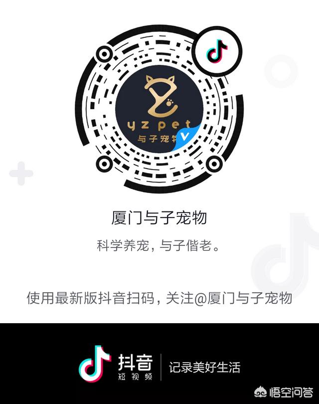 宠物店利润:宠物店利润怎样 宠物店的收入主要有哪几类？