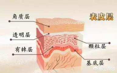 前哨战:你知道皮肤屏障功能有多珍贵吗？