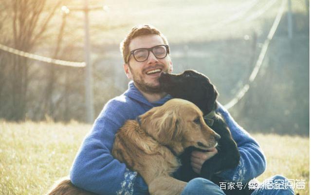 狗狗爱:狗狗为什么爱抱人的大腿？