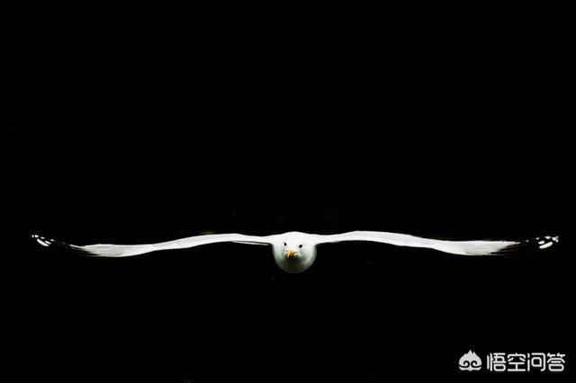 干净,人体最“干净”的地方是哪里呢？