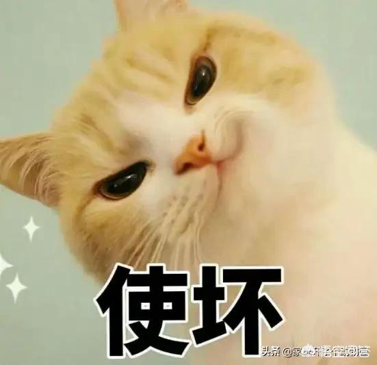为什么说二战美日欧就是法西斯内战？