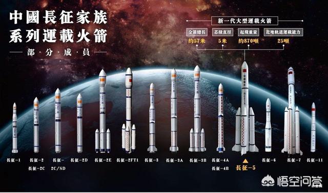 爆炸蚂蚁:蚂蚁需要睡觉吗，有何科学依据？