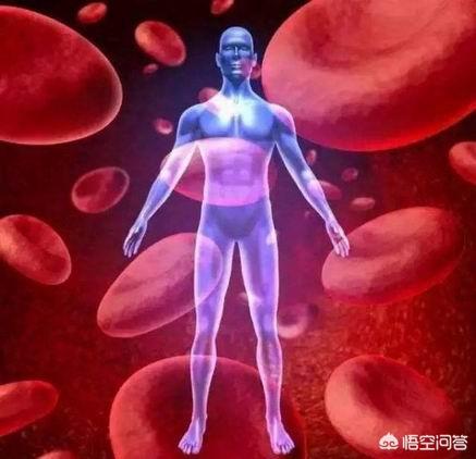 作激光能净化血液吗:血液净化可以作为降血脂的手段吗？