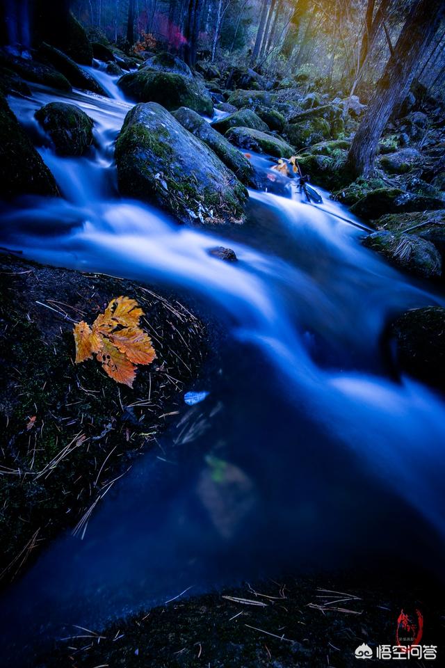 你拍到过哪些冷色调的照片,摄影中冷色调片子是指画面中以蓝,青为色调