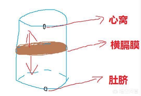 唱歌学狗喘气有什么用:怎样在唱歌中正确的呼吸？