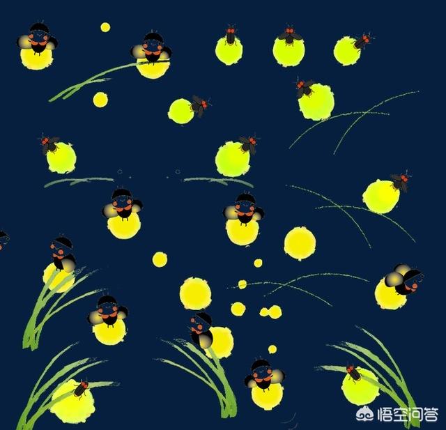 萤火虫祖先被发现:为什么有人说现在农村很少见萤火虫了？
