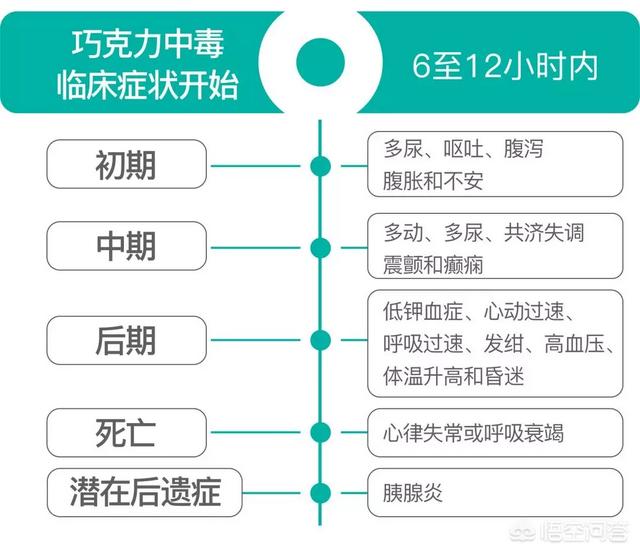 狗为什么不能吃巧克力?:为什么猫和狗不能吃巧克力？