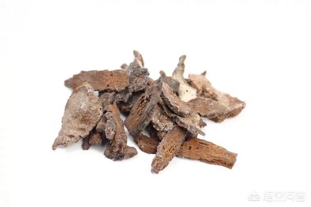 乌梢蛇的功效与作用:鹿茸、锁阳、红景天能和小蛇泡酒吗？