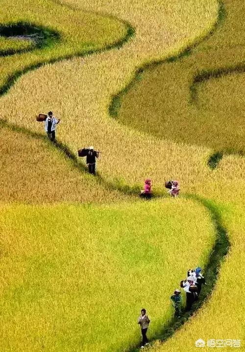 房子住着害怕怎样化解,一个人租房住害怕怎么办？