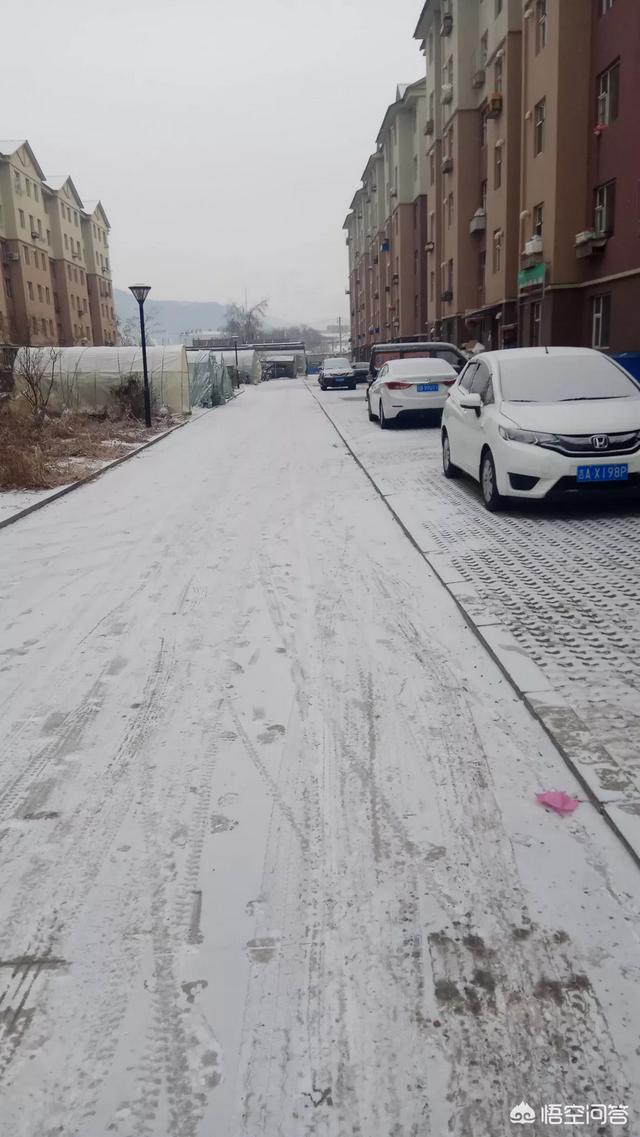 你那里下雪了吗,晒一晒雪中情景吧？