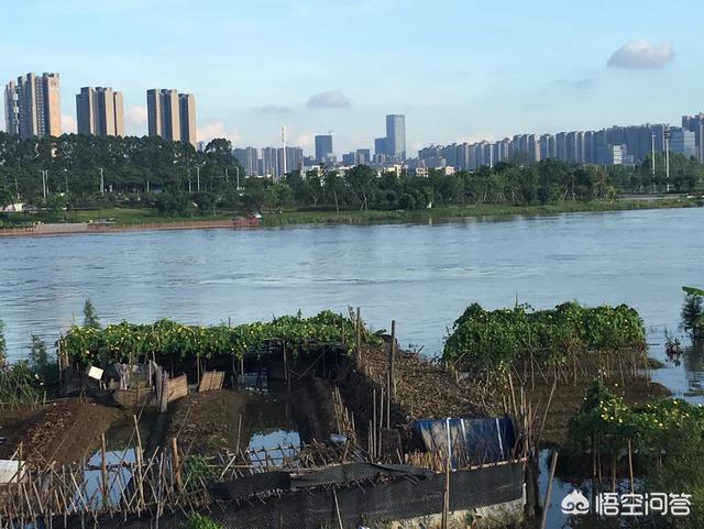 越住越富的房子风水,为什么越有钱的人越相信风水？