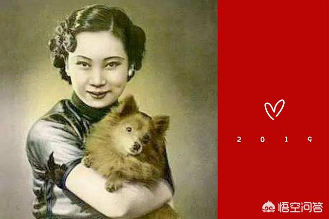杨开慧贺子珍:历史上有哪些伟大的母亲？