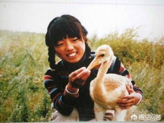 微信爱情故事简谱:北京爱情故事 里吴魏写的信台词？(北京爱情故事吴魏的情书)
