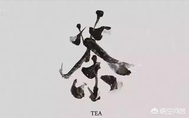如何爱上茶？