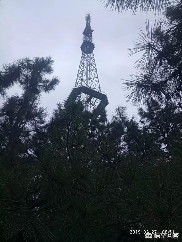 养拇指猴:养殖知了什么时候养合适？要多长时间能爬出来有收获？