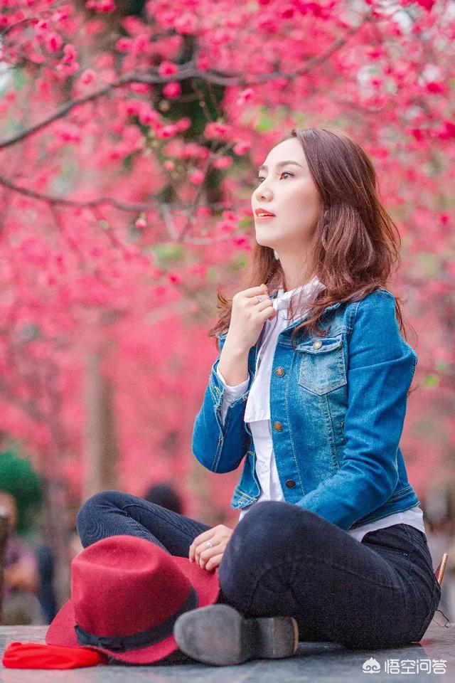 梁朝伟樱花照:你拍过最有春意的照片是什么样的