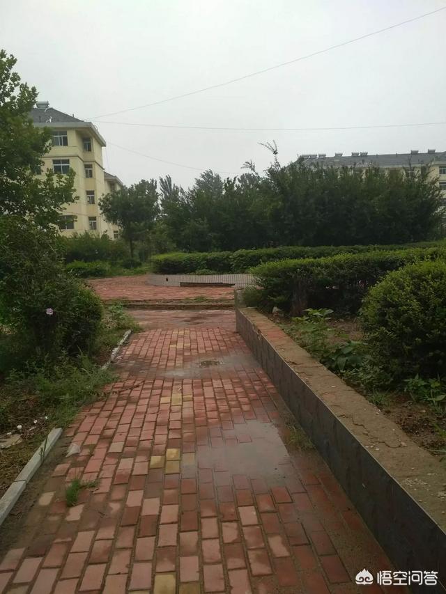 万界微信<a href=https://maguai.com/list/269-0-0.html target=_blank class=infotextkey>红包群</a> <a href=https://maguai.com/list/34-0-0.html target=_blank class=infotextkey>小说</a>:最近看<a href=https://maguai.com/list/34-0-0.html target=_blank class=infotextkey>小说</a>上瘾了，谁能推荐一本好看的<a href=https://maguai.com/list/34-0-0.html target=_blank class=infotextkey>小说</a>？