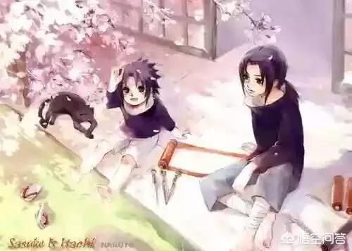 众多动漫中,哪一部的兄弟情（兄妹情）最让你羡慕？