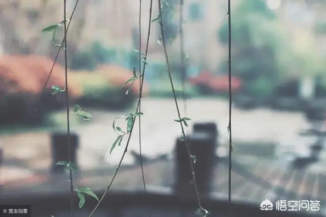 你目前为止听过最心酸的一句话是什么？