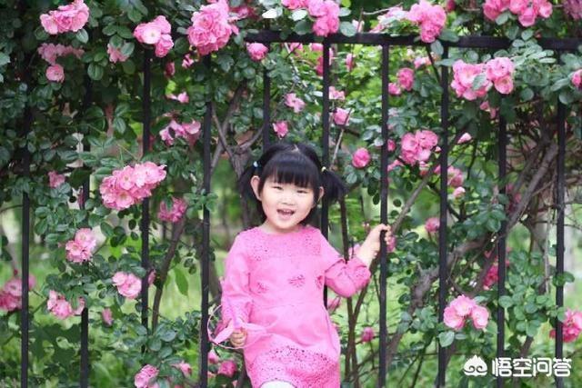上联：花容月貌,莫若徐娘半老,下联怎么对？