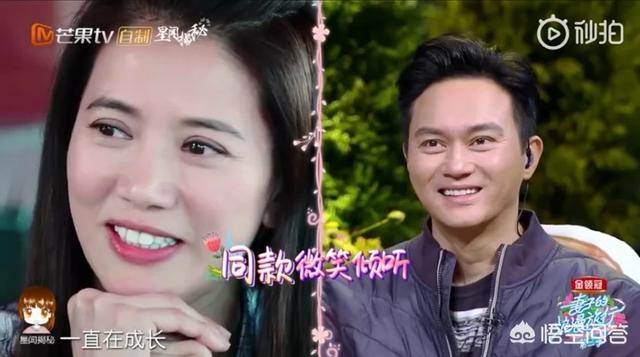张智霖与袁咏仪:张智霖和袁咏仪这对高糖夫妻幸福的秘诀是什么