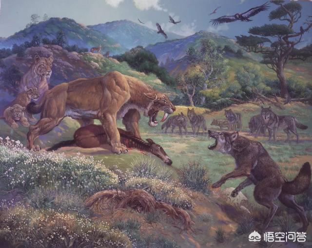 世界上最后一只龙，恐龙灭绝后人类出现前的地球，曾经出现过哪些生物圈霸主