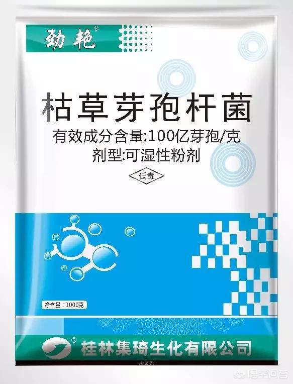 软腐病:软腐病用什么药最好 如何防治马铃薯的软腐病？