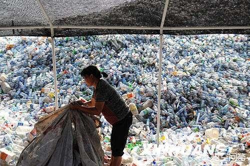 温州废纸，废塑料收购怎么样？