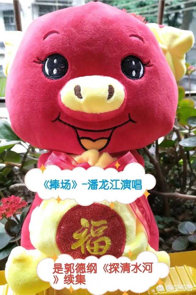 抵制京东的赵何娟何许人也？