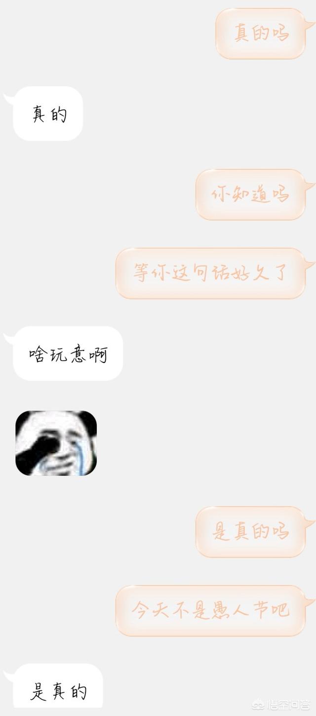 山东墨界黑狼58同城网:什么犬种是比较具有争议性的呢？