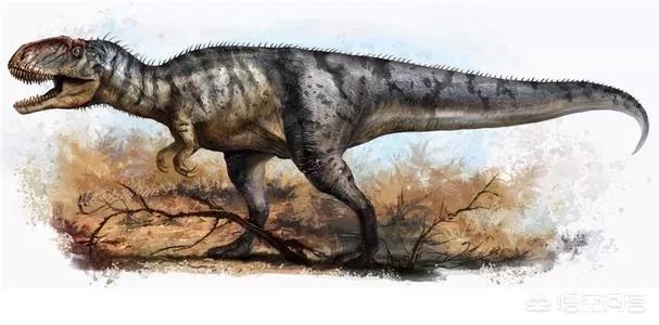 中国发现的活恐龙，发现最早的恐龙是什么恐龙