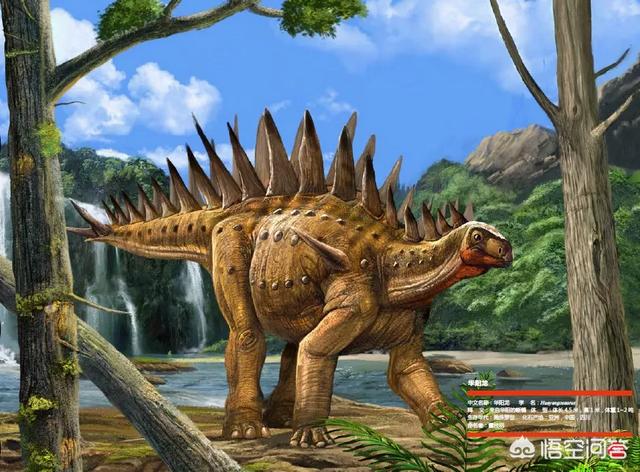 孔子鸟和中华龙鸟:中国有什么著名的恐龙发现地？发现什么恐龙？