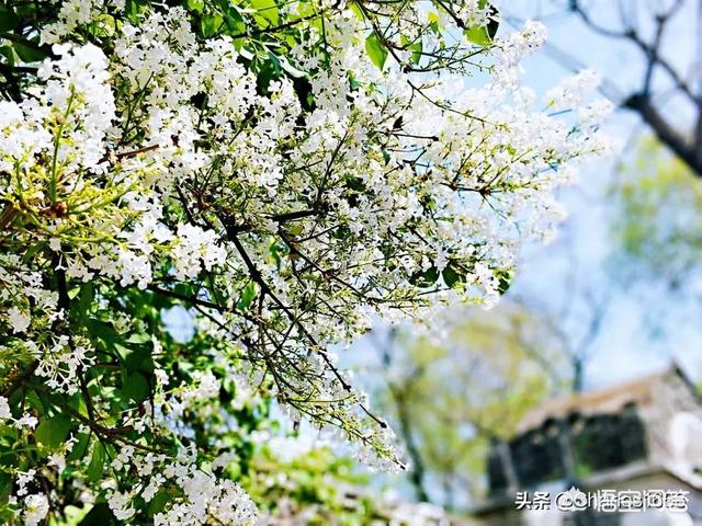 星座不合怎么办,和女朋友星座不合怎么办？